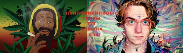 первитин Михайлов