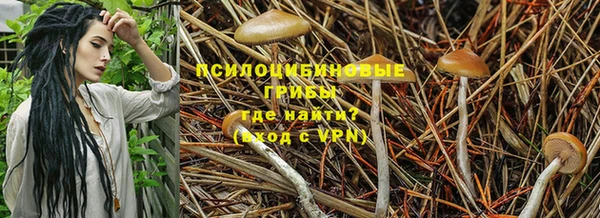 первитин Михайлов