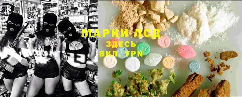 даркнет сайт  Грайворон  LSD-25 экстази ecstasy 