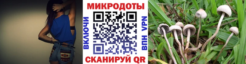 Галлюциногенные грибы Cubensis продажа наркотиков MEGA сайт Грайворон